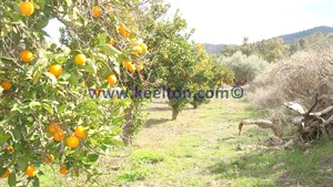 Finca in Purchena, Almeria