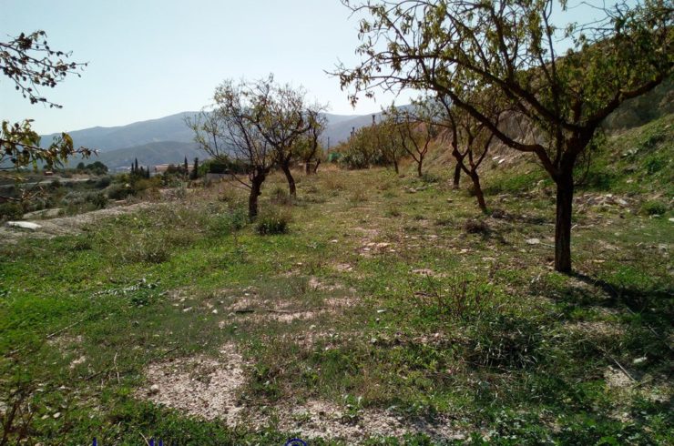 Land in Cela, Lucar, Almeria